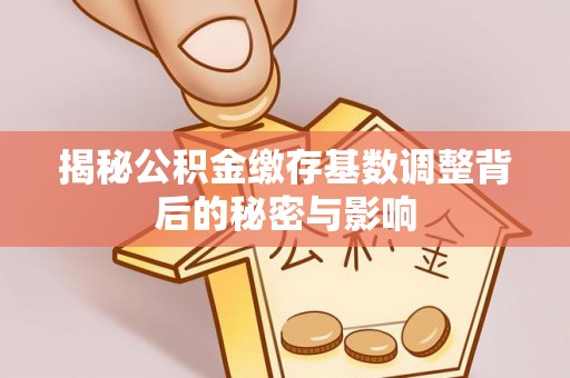 阳朔揭秘公积金缴存基数调整背后的秘密与影响