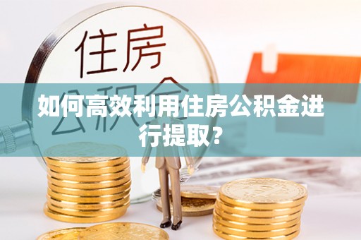 阳朔如何高效利用住房公积金进行提取？